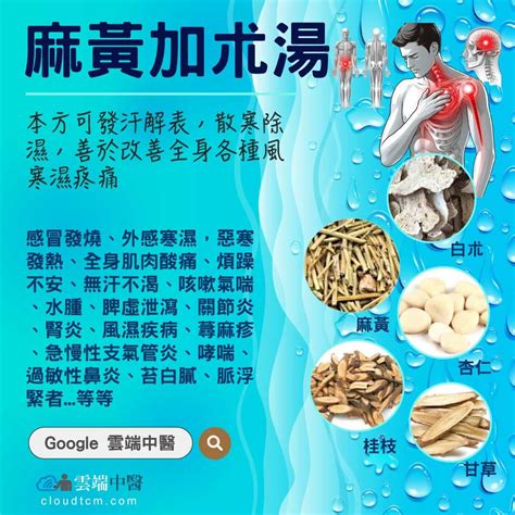 麻黃加朮湯|醫砭 » 常用方劑 » 麻黃湯